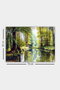 Wallity Lienzo Decorativo Multicolor 50 x 70 cm